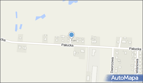 DPD Pickup Punkty, PAŁUCKA 12/1, Dąbrowa 88-306, godziny otwarcia