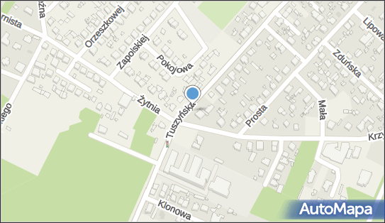 DPD Pickup Punkty, Tuszyńska 28A - Automat paczkowy, Andrespol 95-020, godziny otwarcia