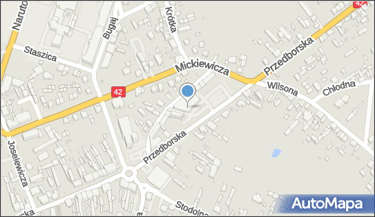DPD Pickup Punkty, Przedborska 47 - automat paczkowy, Radomsko 97-500, godziny otwarcia