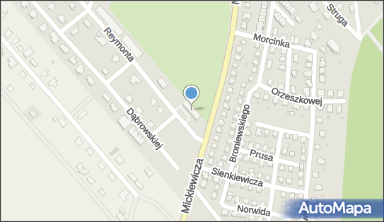 DPD Pickup Punkty, Władysława Reymonta 11, Jawor 59-400, godziny otwarcia
