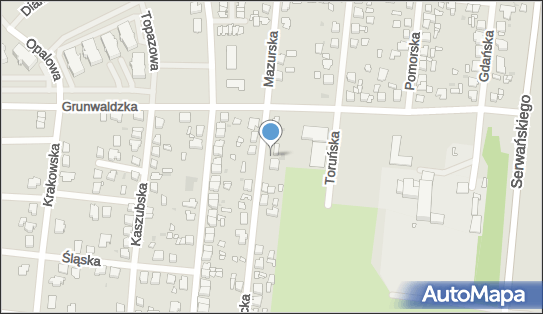 DPD Pickup Punkty, Bracka 96 - automat paczkowy 63-400, godziny otwarcia