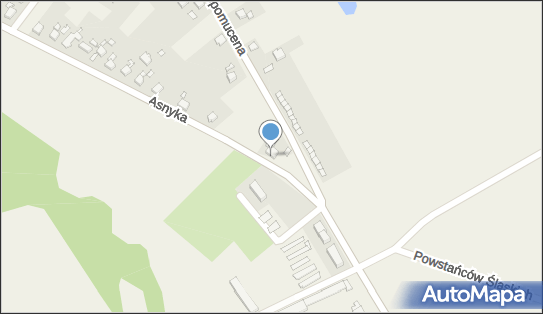 DPD Pickup Punkty, Asnyka 75, Lubomia 44-360, godziny otwarcia