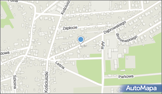 DPD Pickup Punkty, Dąbrowskiego 14, Krzepice 42-160, godziny otwarcia