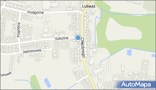 DPD Pickup Punkty, Chrobrego 54, Lubasz 64-720, godziny otwarcia