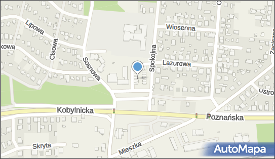 DPD Pickup Punkty, Plac Piastowski 8 - automat paczkowy, Jerzykowo 62-007, godziny otwarcia
