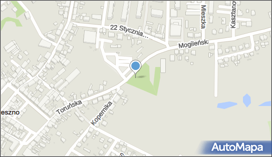 DPD Pickup Punkty, Toruńska 1A, Trzemeszno 62-240, godziny otwarcia