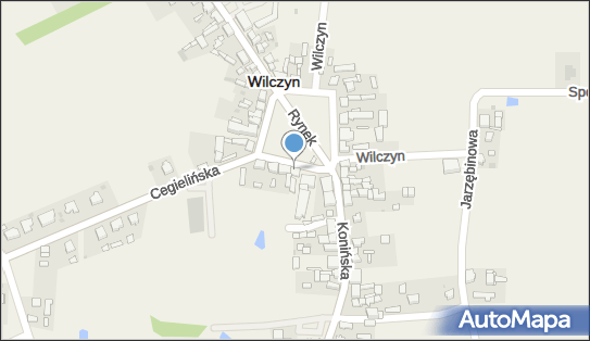 DPD Pickup Punkty, Rynek 15, Wilczyn 62-550, godziny otwarcia