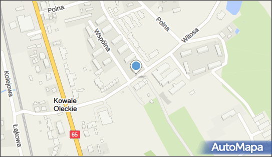 DPD Pickup Punkty, Witosa 4 - automat paczkowy, Kowale Oleckie 19-420, godziny otwarcia