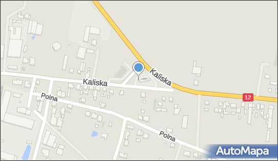 DPD Pickup Punkty, Kaliska 109 - automat paczkowy, Pleszew 63-300, godziny otwarcia