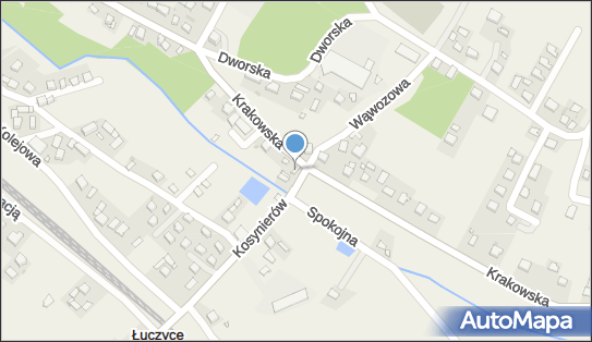 DPD Pickup Punkty, Krakowska 60, Łuczyce 32-010, godziny otwarcia