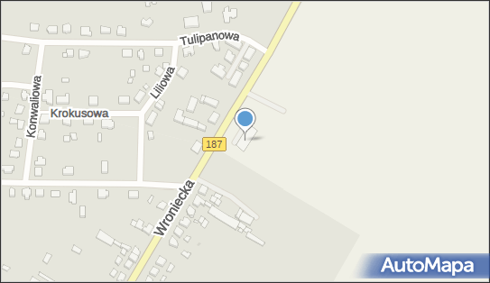 DPD Pickup Punkty, Podpniewki 36, Podpniewki 62-045, godziny otwarcia