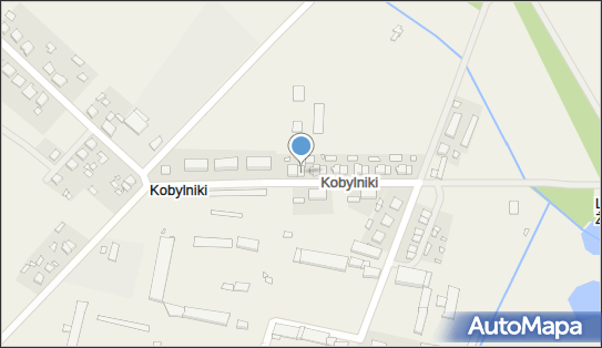 DPD Pickup, Kobylniki 13, Obrzycko 64-520, godziny otwarcia