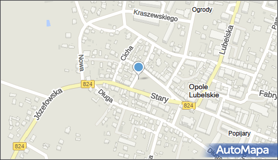 Dworzec autobusowy, Stary Rynek824, Opole Lubelskie 24-300 - Dworzec autobusowy