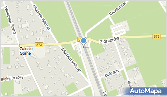 Zalesie Górne, Spacerowa, Zalesie Górne 05-540 - Dworzec kolejowy, Przystanek kolejowy