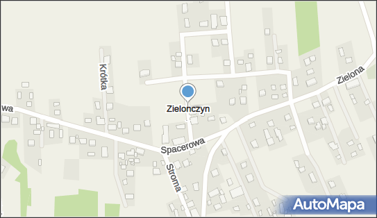 Zielonczyn (stacja kolejowa), Zielonczyn - Dworzec kolejowy, Przystanek kolejowy