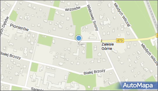 Euronet - Bankomat, ul. Pionierów 17, Zalesie Górne 05-540, godziny otwarcia