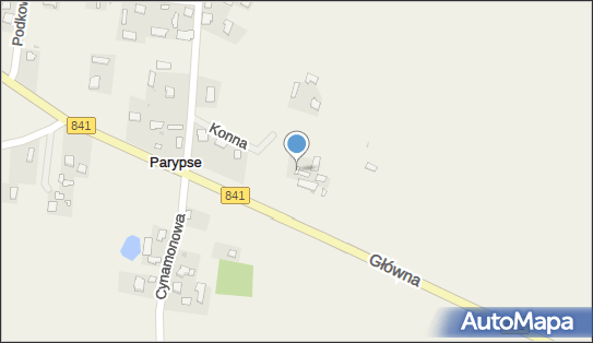 'CARVING' - Dekoracje z Owoców i Warzyw Agnieszka Mielniczuk 22-151, numer telefonu