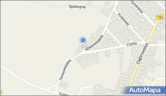 KM PROGRAMS KRZYSZTOF MAKOWSKI, Ul. Cicha 7 7, Niegowonice 42-454, numer telefonu