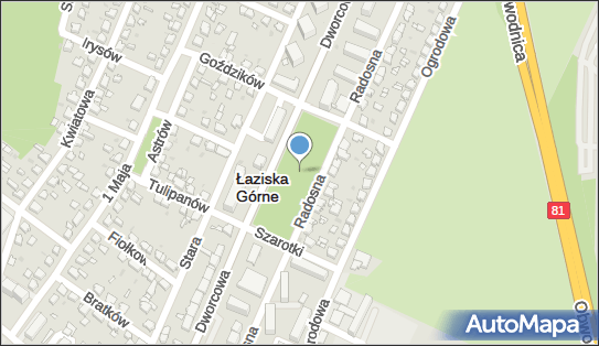 Fontanna, Radosna 12, Łaziska Górne 43-170 - Fontanna