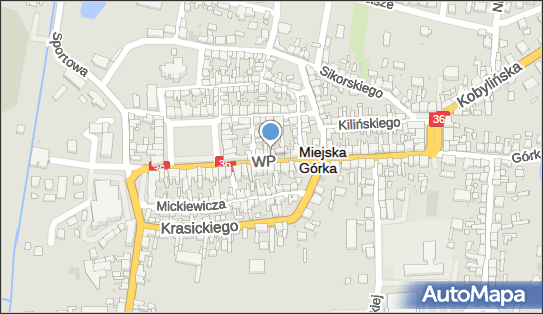 6990003181, Stanisława Seniuta Sklep 