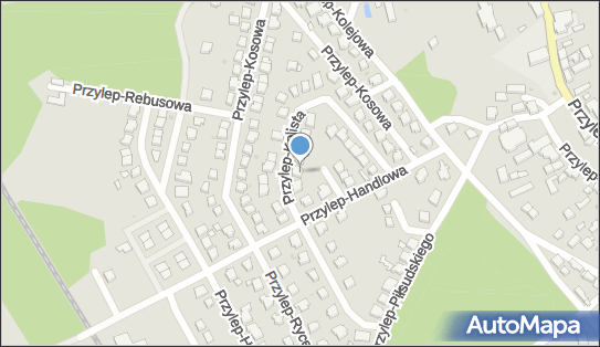 9730594442, Sklep Wielobranżowy Katarzyna Piechocińska 