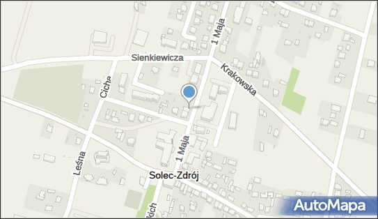 Sklep z Art Przemysłowymi, 1 Maja 5, Solec-Zdrój 28-131 - Fotograficzny - Sklep, NIP: 6551160139