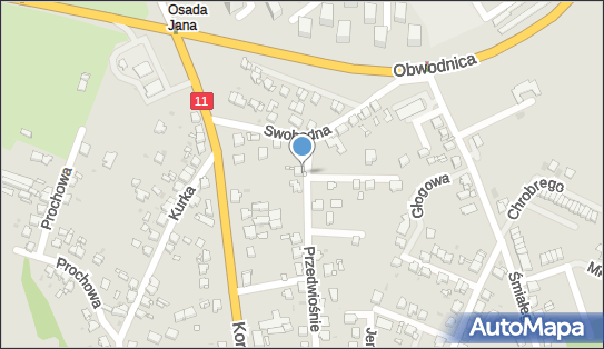 Alicja Wojsczyk Salon Fryzjerski Alicja, Przedwiośnie 5 42-605, NIP: 6451019281