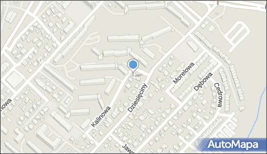 5422531662, Fryzjer Damsko - Męski 