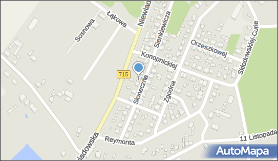 Fryzjerstwo i Pozostałe Zabiegi Kosmetyczne, Słoneczna 17, Ujazd 97-225, NIP: 7731155152
