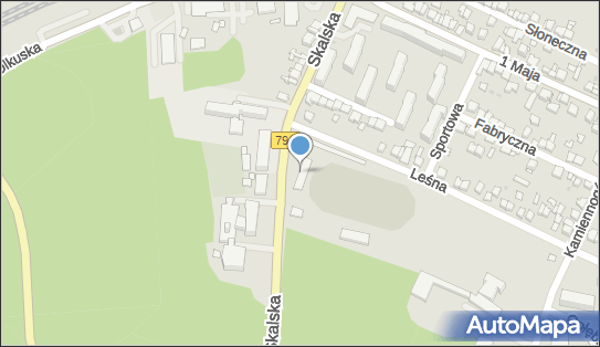 Fryzjerstwo Kosmetyka Ata, ul. Skalska 7, Wolbrom 32-340, NIP: 6792776238