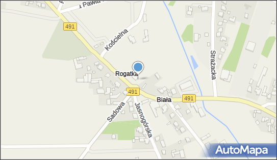 Fryzjer, DW 491, Częstochowska, Biała