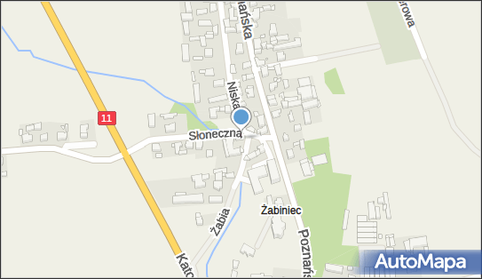 Przedsiębiorstwo Handlowo Usługowe Paola Salon Fryzjerski, Opatów 63-645, NIP: 6191013458