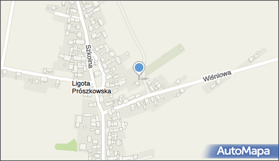 7541444166, Usługi Fryzjerskie Izabela Wieczorek 