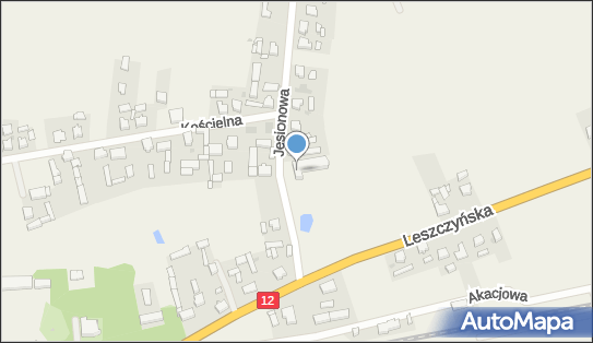 Usługi Fryzjerskie, ul. Jesionowa 4, Garzyn 64-120, numer telefonu, NIP: 6961549150