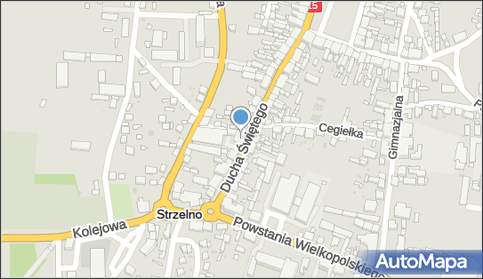 Viola Zakład fryzjersko-kosmetyczny, św. Ducha 24, Strzelno