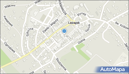 8161090188, Zakład Fryzjerski Damsko-Męski Salmońska Józefa 