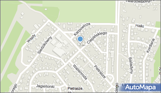 9661985500, Fundacja Audiodeskrypcja 