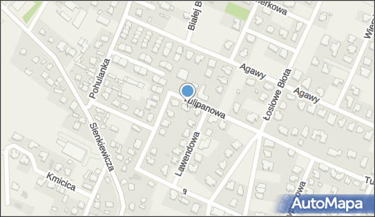 1182053958, Fundacja Silna Rodzina 