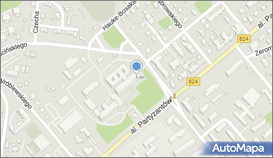 7162175058, Ogólnopolski Związek Zawodowy Pielęgniarek i Położnych Zakładowa Organizacja Związkowa przy Samodzielnym Publicznym Zakładzie Opieki Zdrowotnej w Puławach 