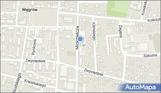 Stowarzyszenie Ogólniak Na Rzecz Wspierania Inicjatyw Edukacyjnych w Liceum Ogólnokształ.im.A.Mickiewicza w Węgrowie 07-100 - Fundacja, Stowarzyszenie, Związek, numer telefonu, NIP: 8241717614