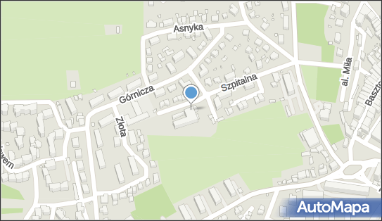 6941636213, Związek Zawodowy Pracowników Ochrony Zdrowia SP Zoz Wojewódzki Szpital Psychiatryczny w Złotoryi 