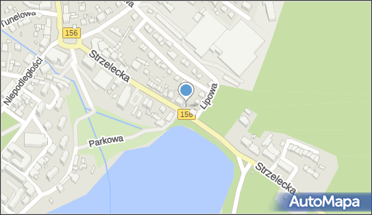 5971124026, Stowarzyszenie Przyjaciół Zespołu Artystycznego 