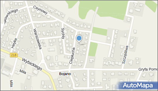 Geomax - Piotr Rogiński, Feliksa Ciepłucha 10, Bojano 84-207 - Geodezja, Kartografia, numer telefonu