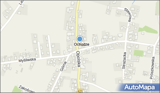 Globi, Opolska 26, Ochodze 46-070, godziny otwarcia, numer telefonu