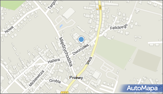 GLS - Punkt odbioru, Dworcowa 5, Pniewy 62-045, godziny otwarcia