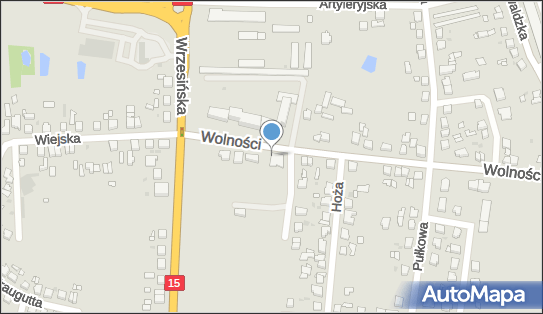 GLS - Punkt odbioru, Wolnosci 8, Gniezno 62-200, godziny otwarcia