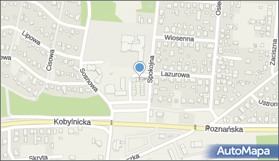GLS - Punkt odbioru, Pl. Piastowski, Jerzykowo 16, Biskupice 62-007, godziny otwarcia