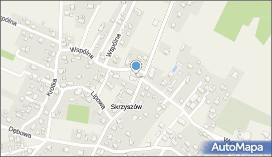 GLS - Punkt odbioru, Ul. Wspolna 1A, Skrzyszow 44-348