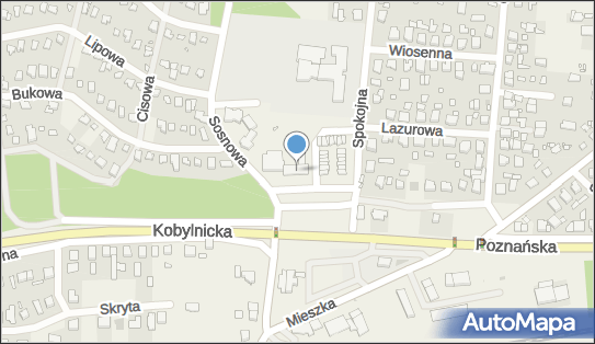 GLS - Punkt odbioru, pl. Piastowski 2, Jerzykowo 62-007