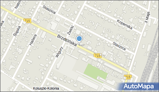 GLS - Punkt odbioru, Brzezińska 29, Koluszki 95-040